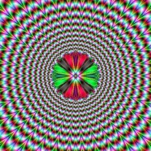 Meet your Posher, Fredrick